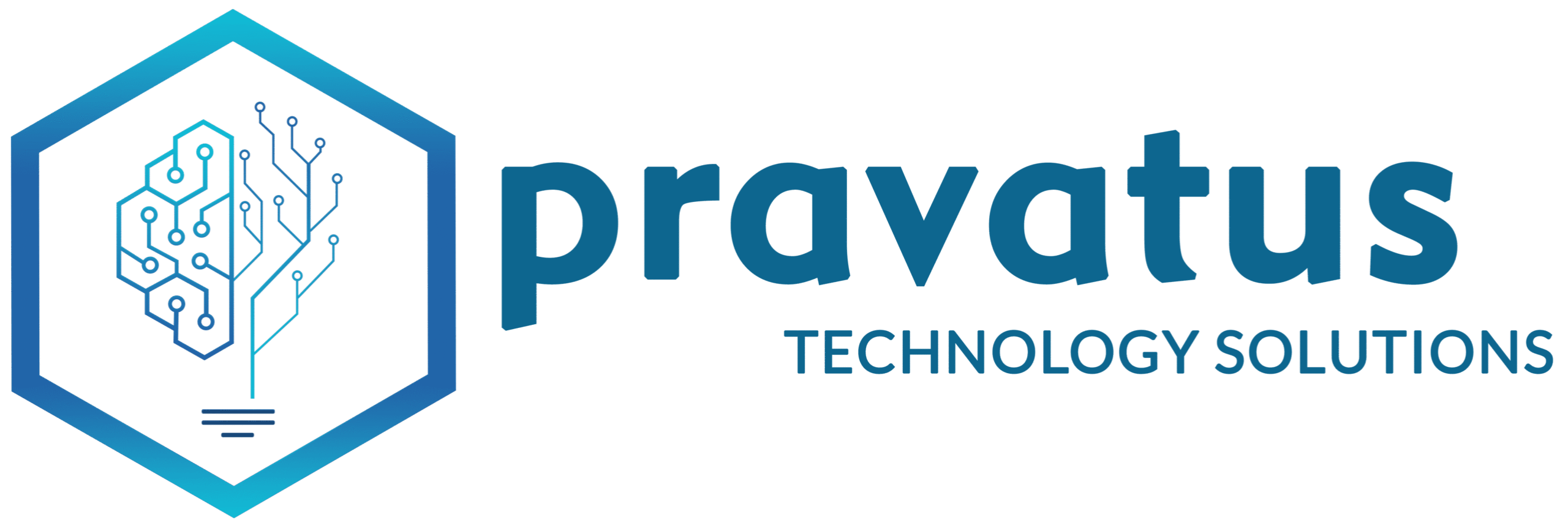Pravatus Technology Solutions